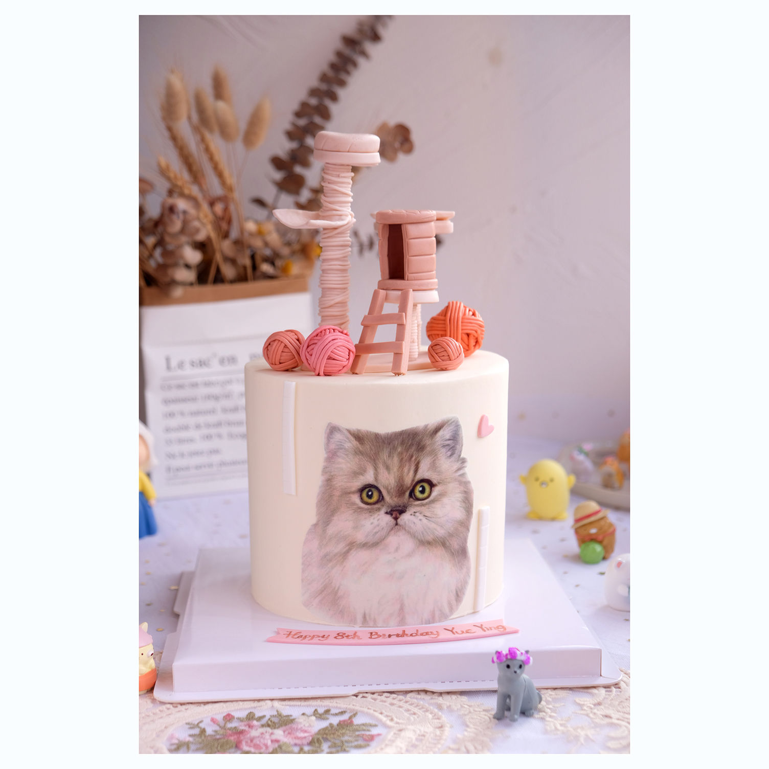 SpTh-101 Cat with cat toy 猫猫与玩具