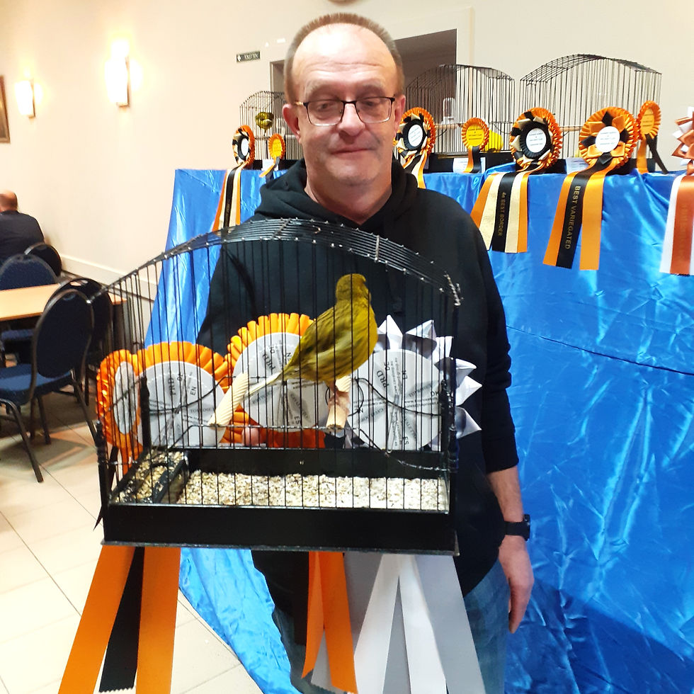 Belgian 2023 2nd Best Border Walter Bonner