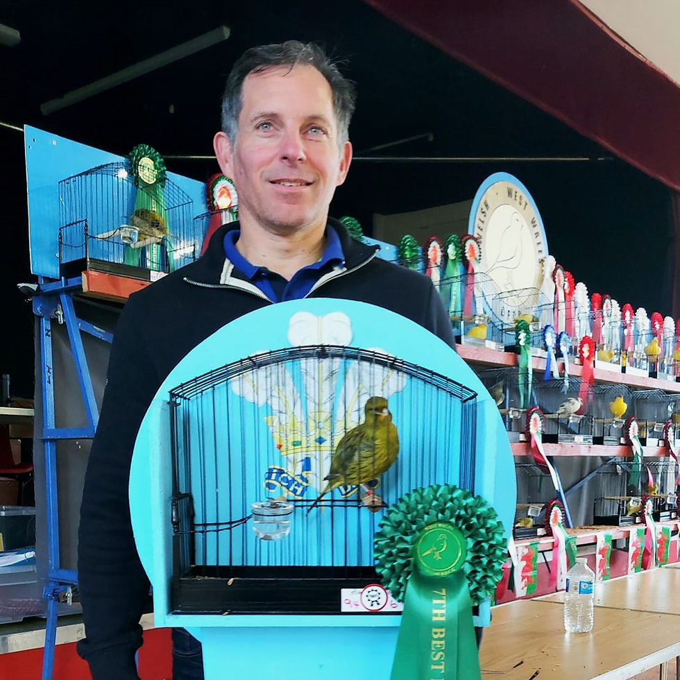 Welsh 2024 Mark Standon 7th Best Novice