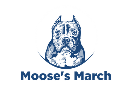 Moose's March logo — nonprofit dedicated to early detection of pet cancer