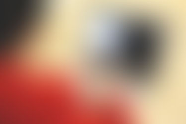 5 Claves para optimizar el tiempo