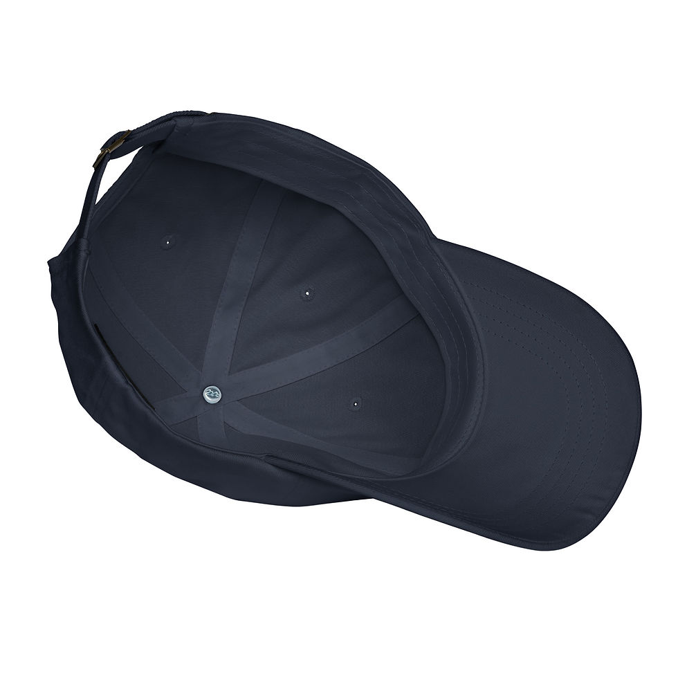 Thumbnail: Embroidered hat