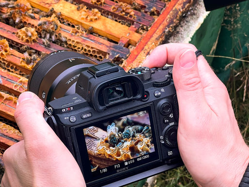 Honigernte und Insta-Highlights: 60 Jahre Naturpark Südheide