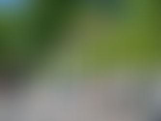 Ernestiner beteiligt an den Feierlichkeiten zum 80. Jahrestag des Kriegsendes am 8. Mai 2025 in Meudon