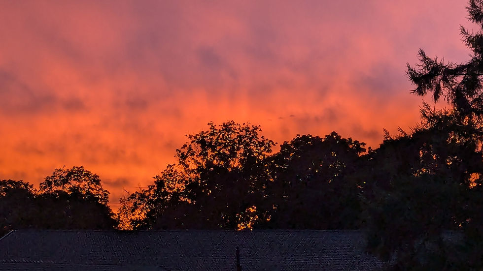 CH-Leserin Bianca Janßen hält einen malerischen Sonnenuntergang fest-