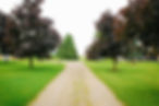 maple lane web banner imges.jpg