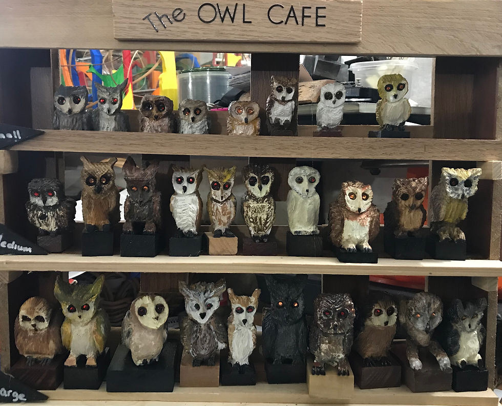 Collection of owl figurines displayed at The Owl Cafe