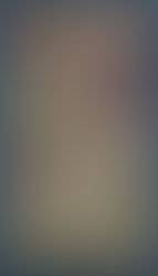 Itō Jakuchū, painting