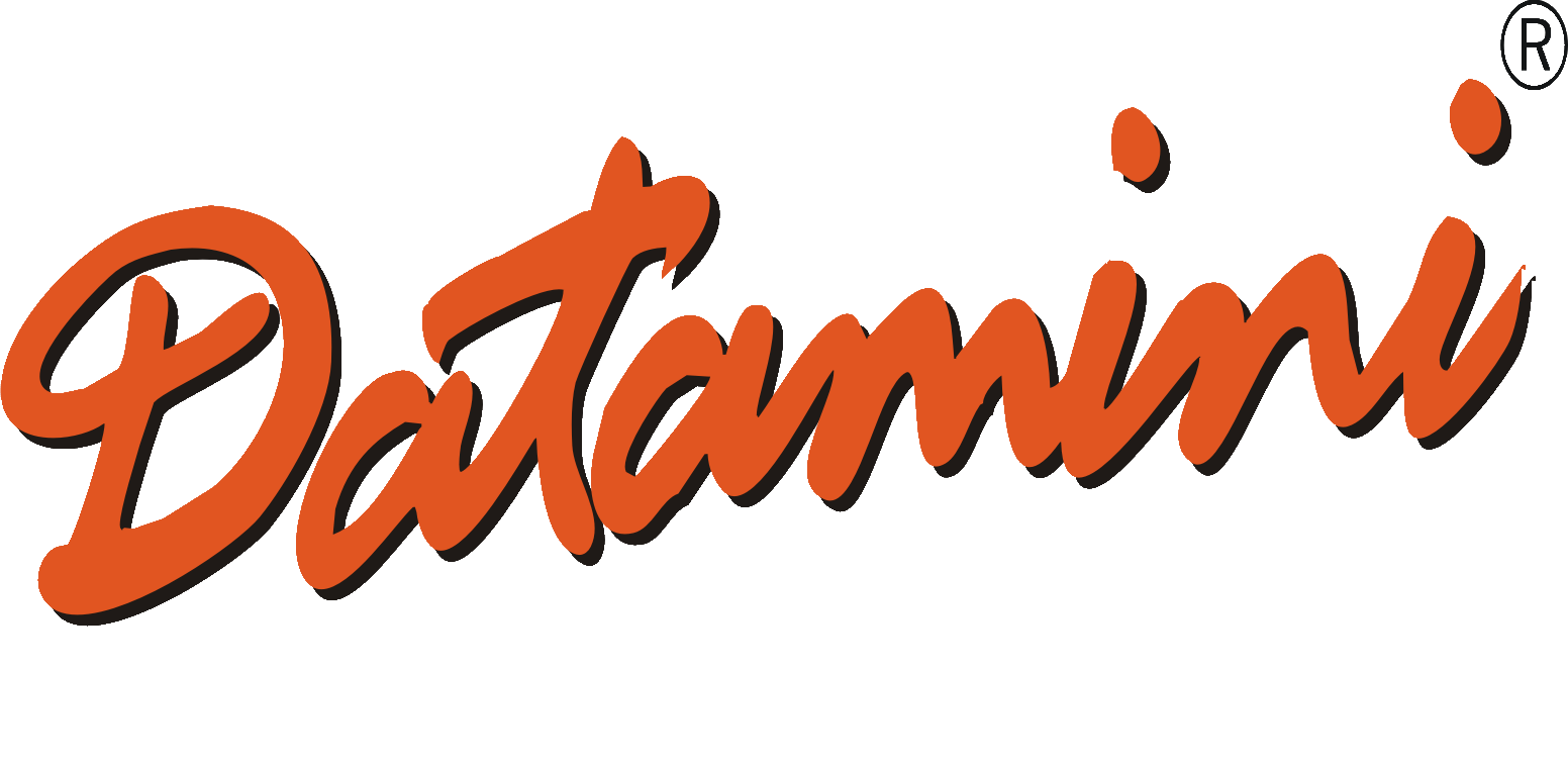 datamini logo without background color_9