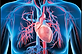 Cardiovascular