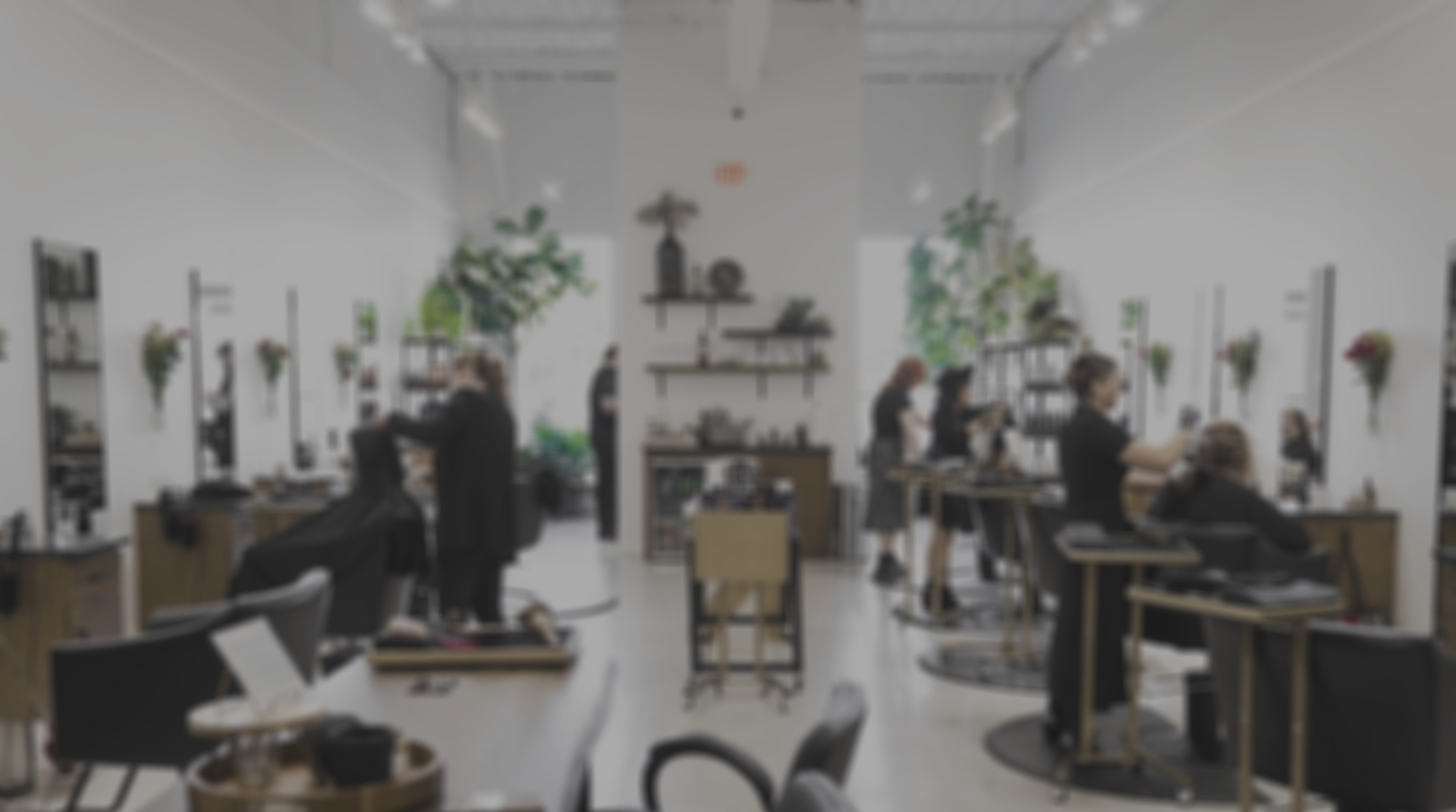 Kith + Kin Salon business photo