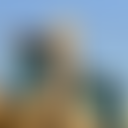 Why Immigrants, Investors Flock to Southeast Jerusalem