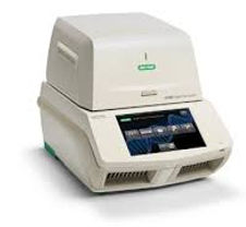 pt-pcr.jpg