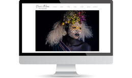 https://www.yoniblau.com/ Professional photographer web portfolio.

An amazi...