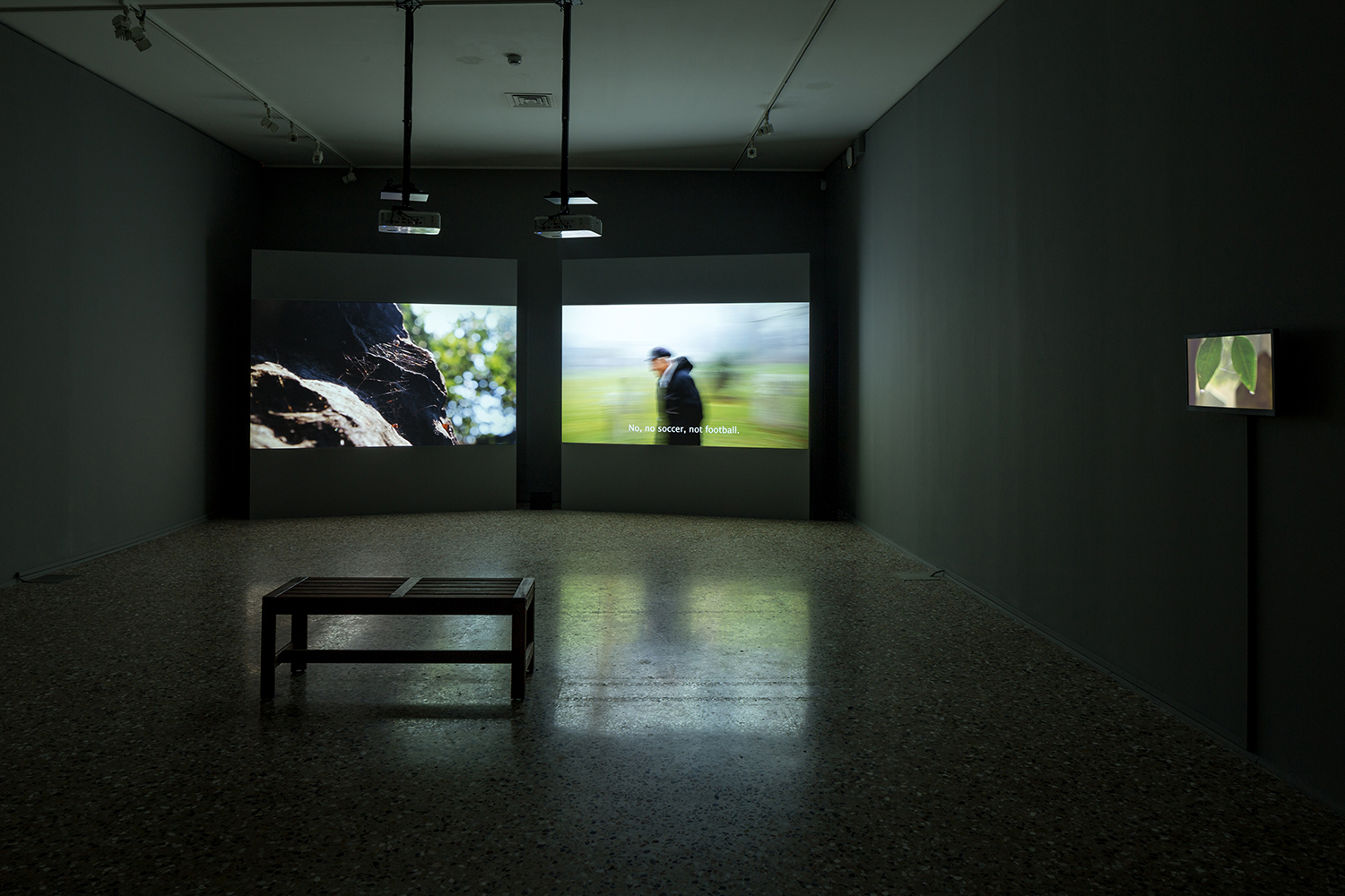 the forward- The House Of Life, Installation, View, Querini Stampalia, Venice copy.jpg