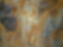 DSCF0398 - Copy.JPG