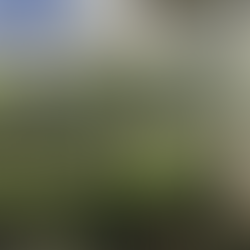 Knock Knock. Anyone Home?