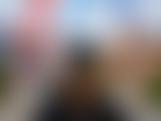 SLP grad student trying to choose a career direction