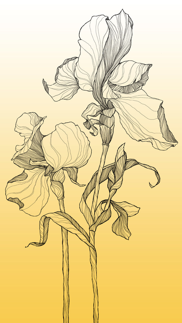 Baseggio murales - Pareti decorate Milano