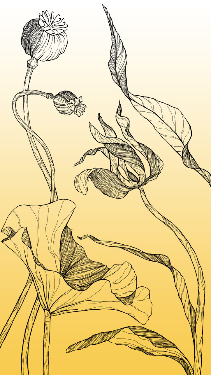 Baseggio murales - Pareti decorate Milano