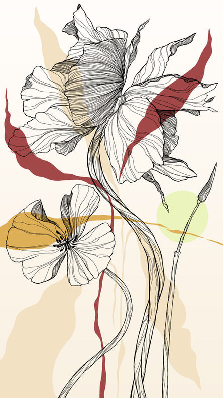 Baseggio murales - Disegno murales Papaveri opposti - Pareti decorate Milano