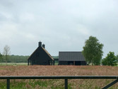 untitled image