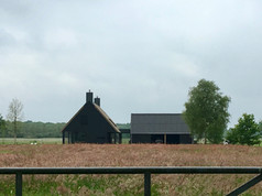 untitled image