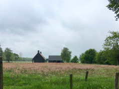 untitled image