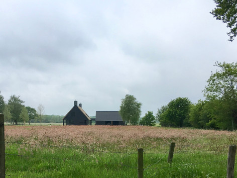 untitled image