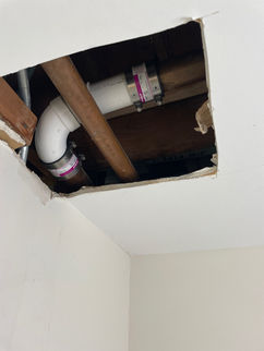 Schaumburg Drain Leak
