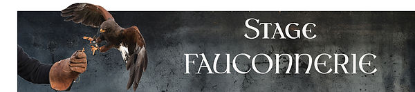 Bandeau Fauconnerie.jpg