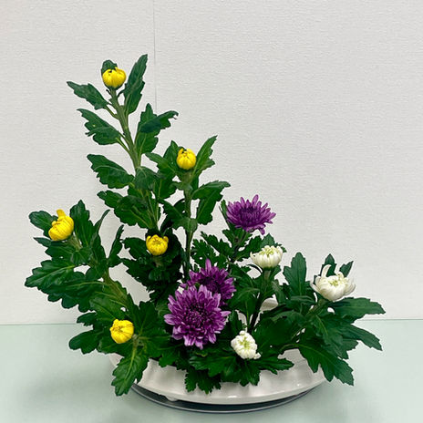 11月のお稽古日