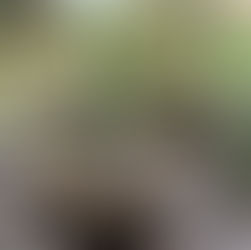 足るを知る、ということ