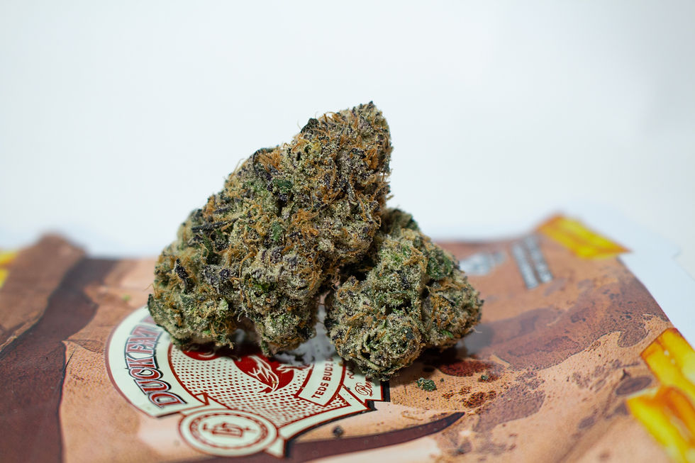 Duck Fat Fries by Teds Budz x Sugar Factory