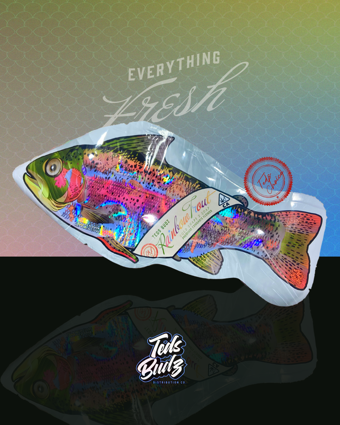 By Teds Budz




Rainbow Trout by Teds Budz