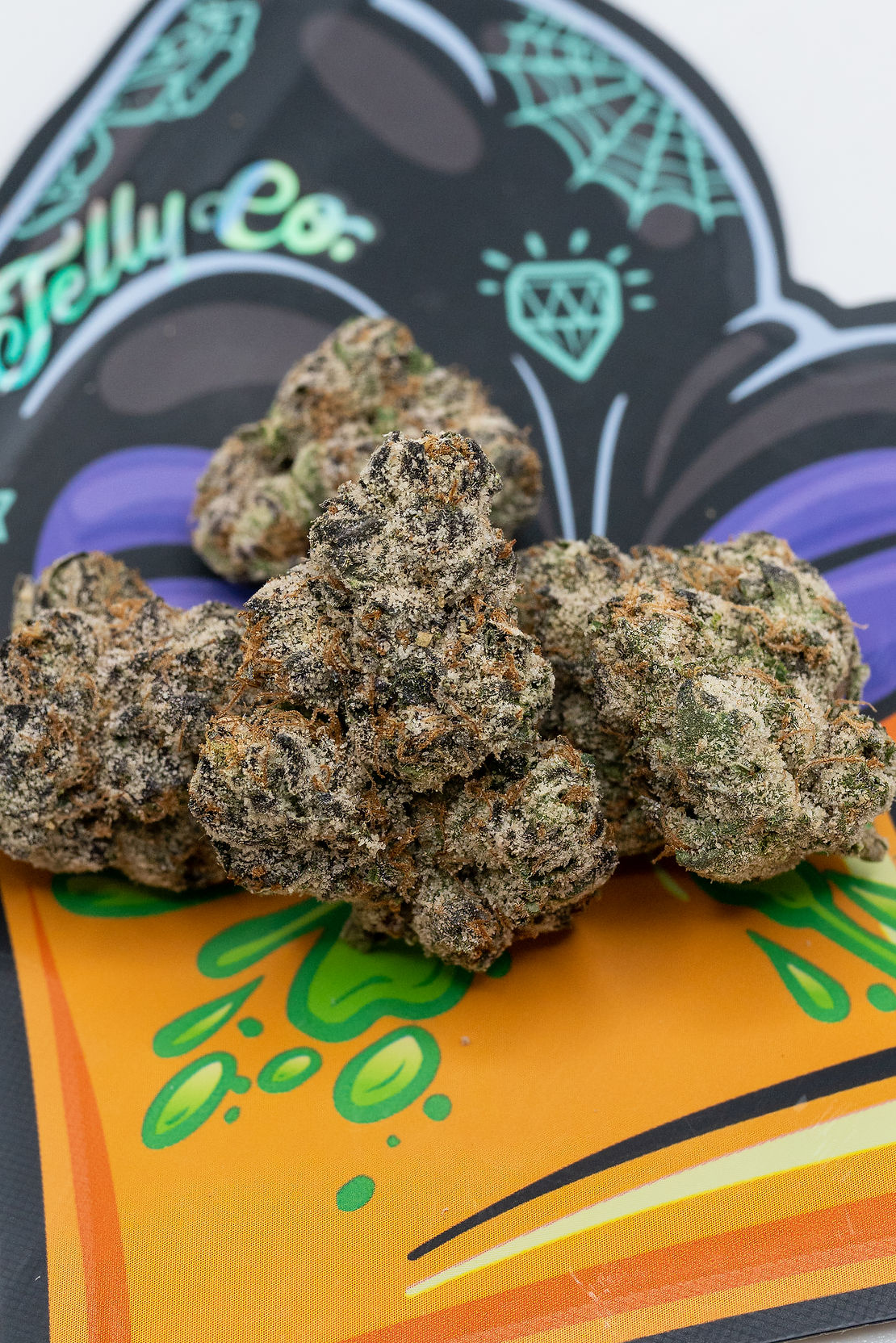 Tiny Toonz by Jelly Co