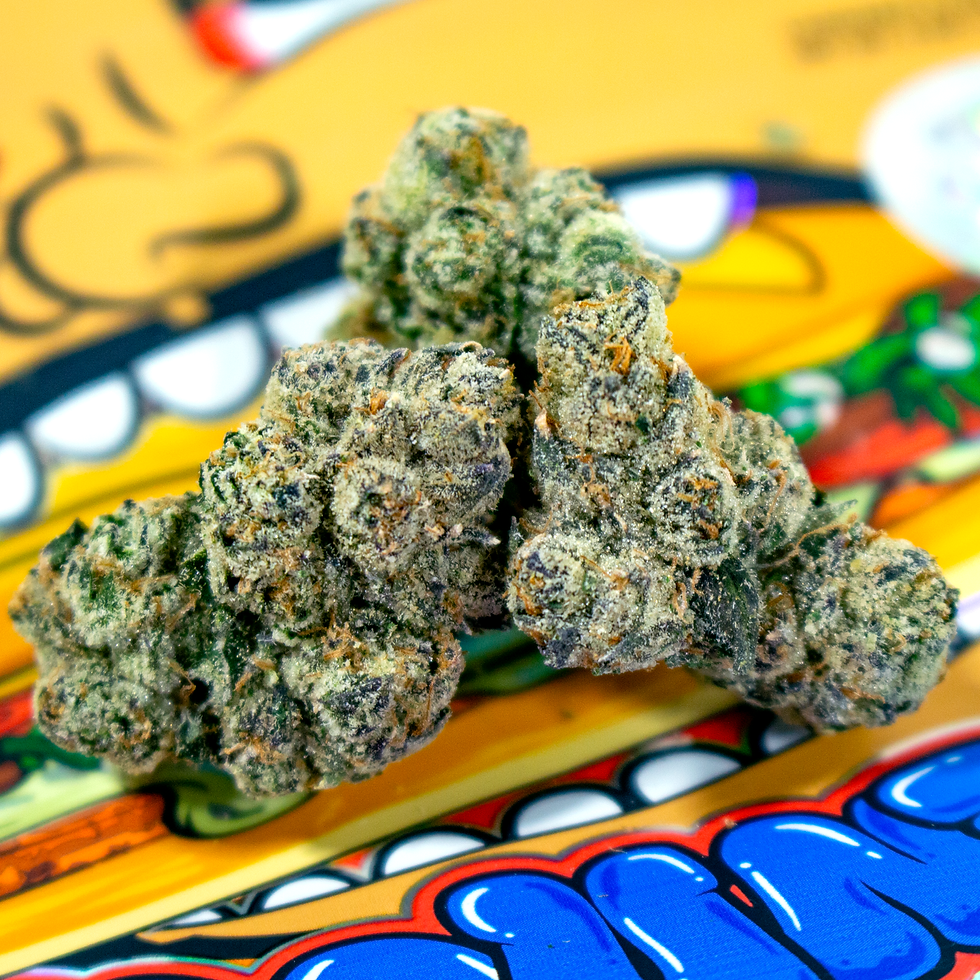 Torta Pounder Teds Budz x Foos Gone Wild