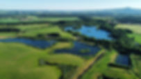 Drone - Eden Springs.jpg