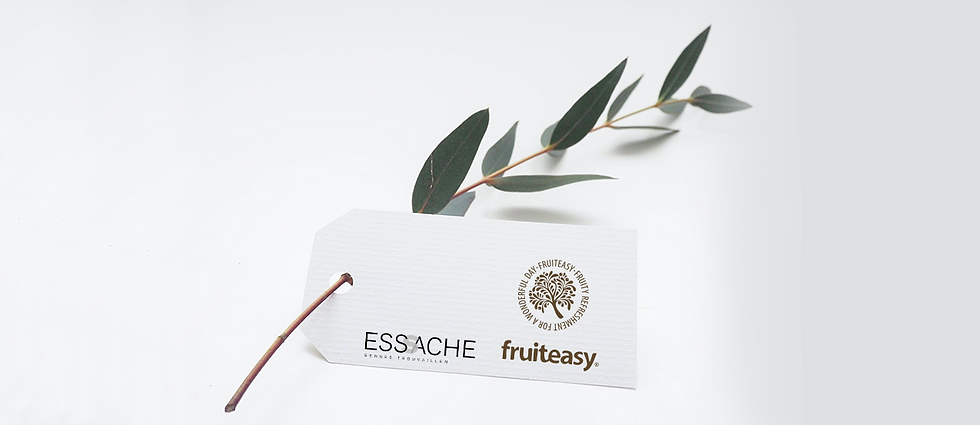 Zweig_2-mit-Logos-fruiteasy-und-ESSACHE.