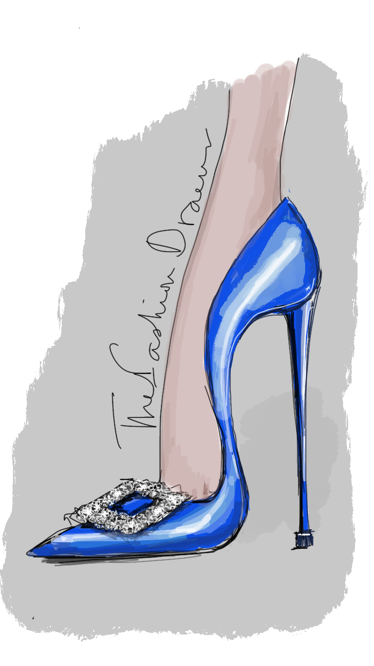 thefashiondrawer I do manolo-blahnik-hangisi pump