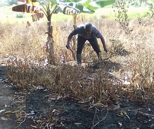 60c7c8571adab31652abf7e4_WhatsApp Image 2020-11-27 at 03.28.50-p-500.jpeg