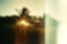 PALM SUNRISE - film