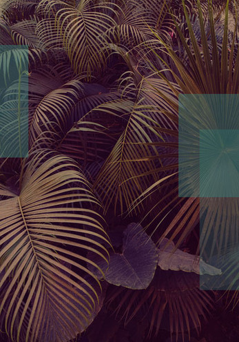 BOTANICAL 2