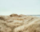 SCOTLAND DUNES