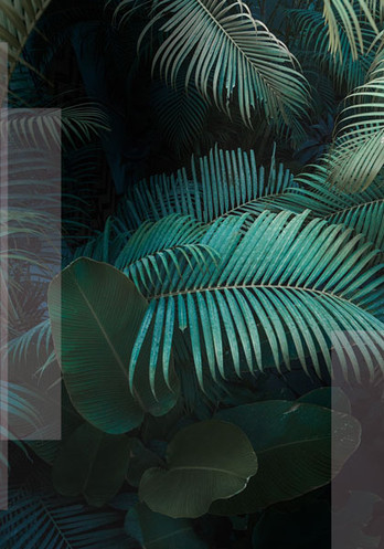 BOTANICAL 1
