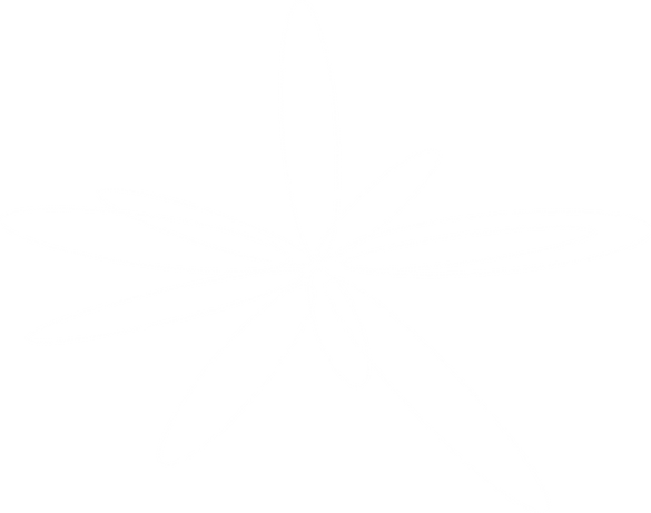 Andro1dgirl Logo