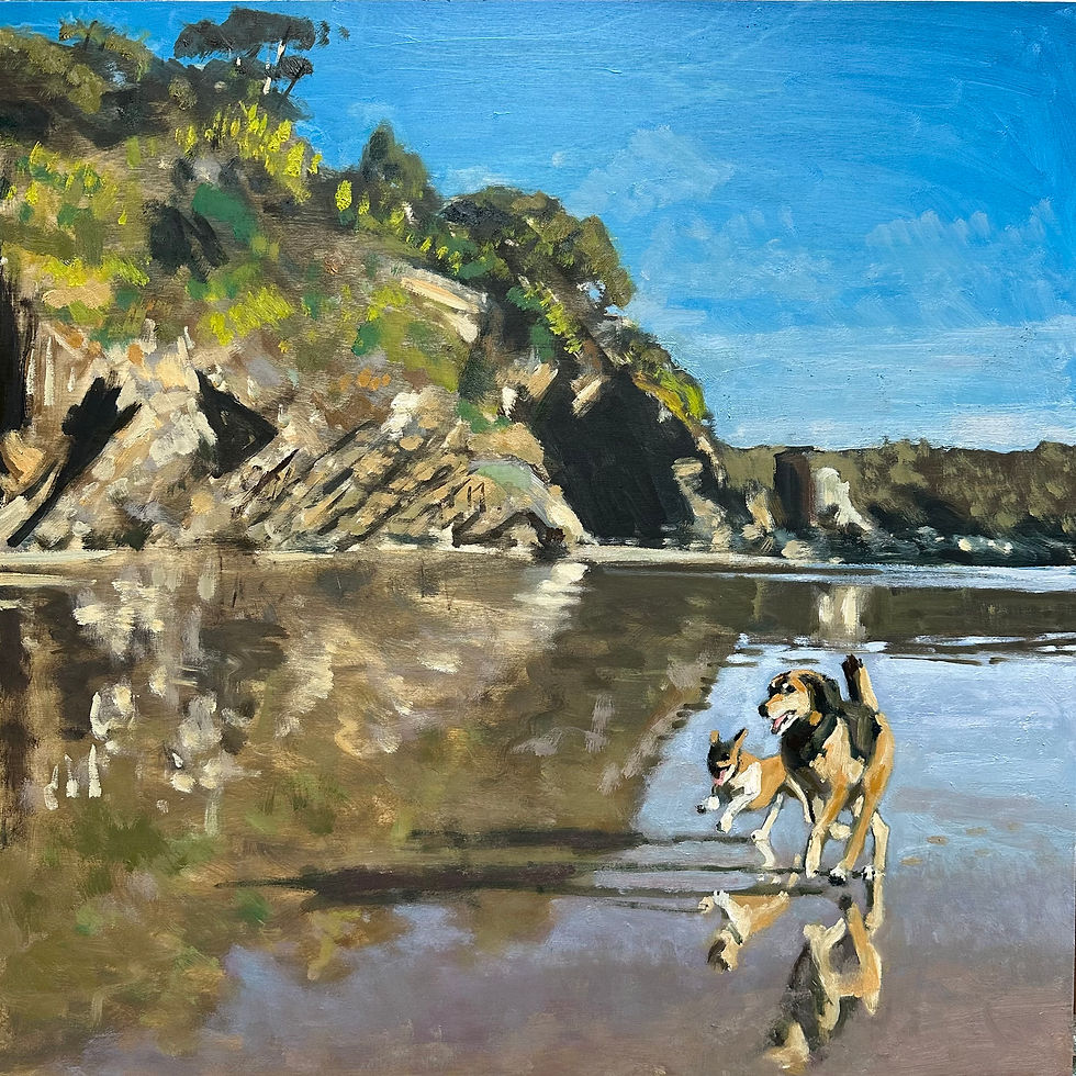 Dogs on North Sands beach, Salcombe