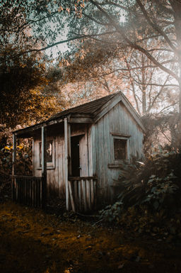 5 (33).jpg