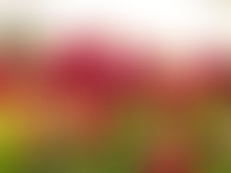 8 PRINCIPLES FOR THE 8TH OF MARCH (and the other 364 days)