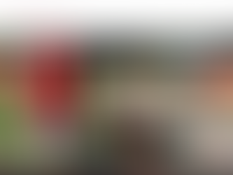 Article dans le journal La Dépêche